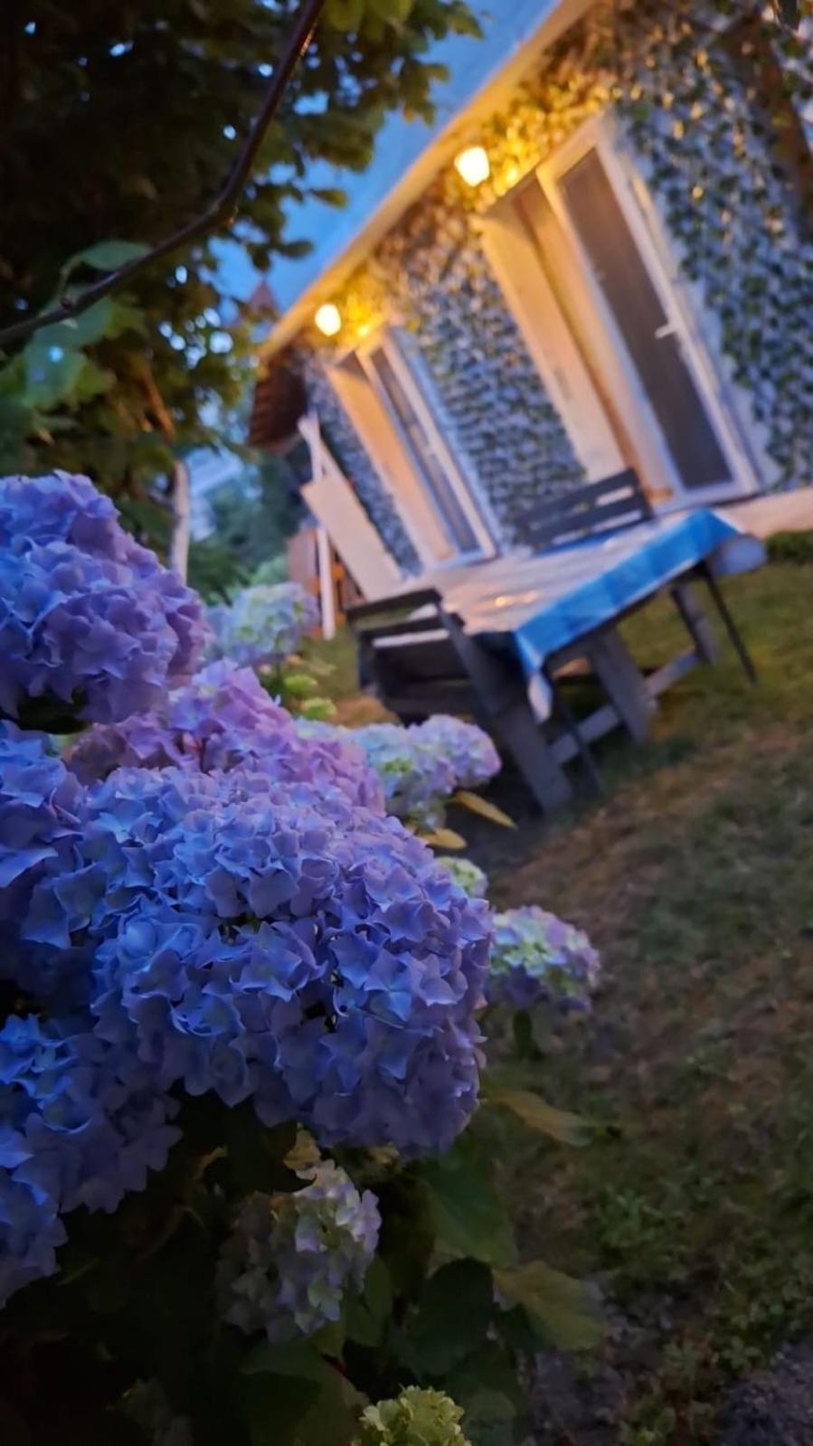 Yahya Rooms Οχρίδα Εξωτερικό φωτογραφία